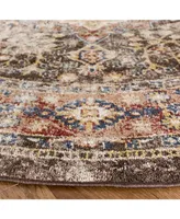 Safavieh Bijar BIJ652 Brown and Rust 6'7" x 6'7" Round Rug