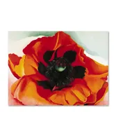 Georgia O'Keefe 'Poppy' Canvas Art - 32" x 24" x 2"