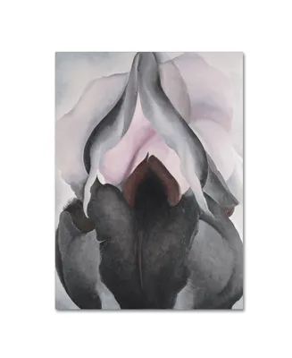 Georgia O'Keefe 'Black Iris' Canvas Art