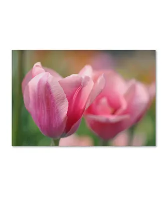 Cora Niele 'Tulip Flower Pink Mirella' Canvas Art - 47" x 30" x 2"
