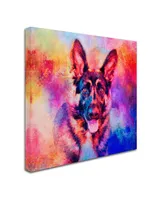 Jai Johnson 'Jazzy German Shepherd' Canvas Art - 14" x 14" x 2"