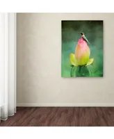 Jai Johnson 'Hummingbird And The Lotus Flower' Canvas Art - 32" x 24" x 2"