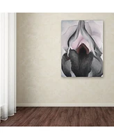Georgia O'Keefe 'Black Iris' Canvas Art - 32" x 24" x 2"