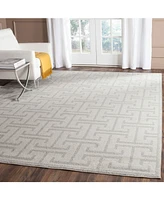 Safavieh Amherst AMT404 Ivory and Light Gray 8' x 10' Area Rug