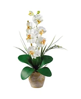 Nearly Natural Phalaenopsis Silk Orchid Flower Arrangement