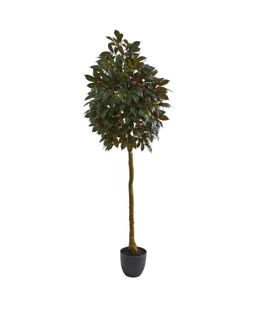 6' Ficus Artificial Topiary Tree; UV Resistant (Indoor/Outdoor)