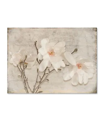 lightbox Journal 'Spring Magnolia' Canvas Art - 32" x 24" x 2"
