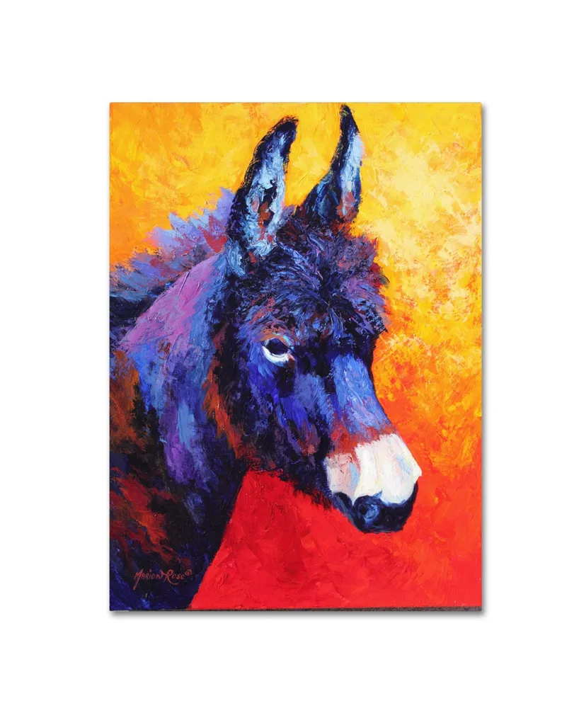 Marion Rose 'Donkey Ivx' Canvas Art - 47" x 35" x 2"