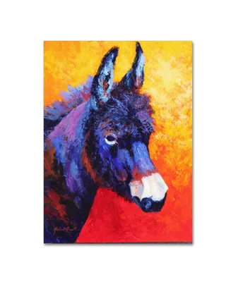 Marion Rose 'Donkey Ivx' Canvas Art - 47" x 35" x 2"
