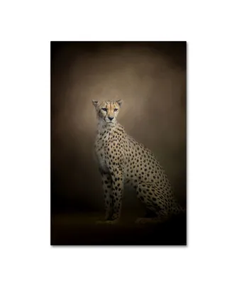 Jai Johnson 'The Elegant Cheetah' Canvas Art - 32" x 22" x 2"