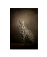 Jai Johnson 'The Elegant Cheetah' Canvas Art - 32" x 22" x 2"