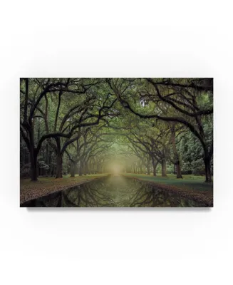 Moises Levy 'Wormsloe Avenue' Canvas Art - 32" x 22" x 2"