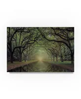 Moises Levy 'Wormsloe Avenue' Canvas Art - 32" x 22" x 2"