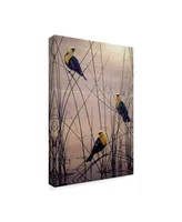 Jeff Tift 'Yellow Headed B Birds' Canvas Art - 24" x 16" x 2"