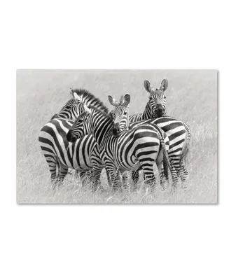 Kirill Trubitsyn 'Zebras' Canvas Art - 24" x 16" x 2"