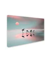 Natalia Baras 'Family Flamingos' Canvas Art - 24" x 16" x 2"