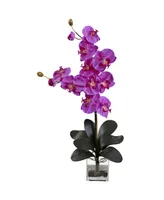 Nearly Natural Double Giant Phalaenopsis w/Vase