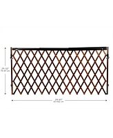 Evenflo Expansion Walk Thru Room Divider Baby Gate