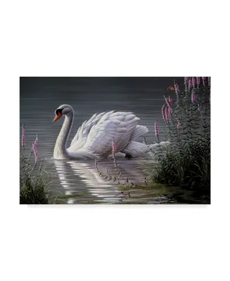 Wilhelm Goebel 'Summer Idyll Mute Swan' Canvas Art - 16" x 24"