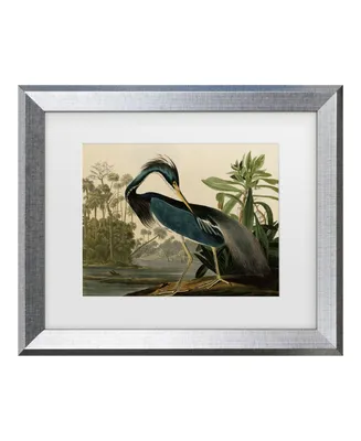 John James Audubon 'Louisiana Heron' Matted Framed Art - 16" x 20"