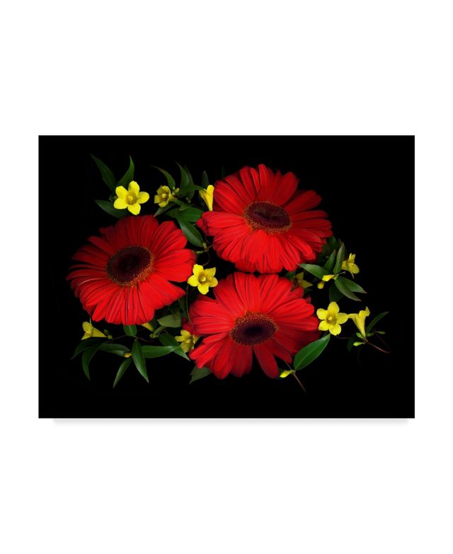 Susan S. Barmon 'Gerbera Daisy And Carolina Jasmine' Canvas Art - 18" x 24"