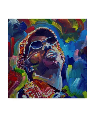 Howie Green 'Stevie Wonder' Canvas Art