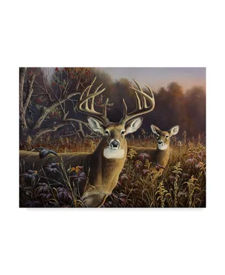 Wilhelm Goebel 'Deer' Canvas Art - 24" x 32"