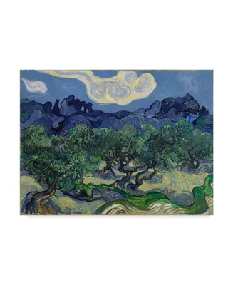 Vincent Van Gogh 'The Olive Trees' Canvas Art - 24" x 18"