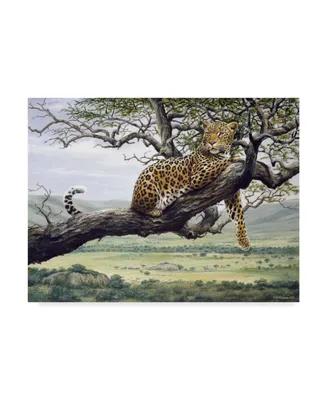 Harro Maass 'Leopard In Tree' Canvas Art - 47" x 35"