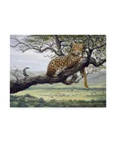 Harro Maass 'Leopard In Tree' Canvas Art - 47" x 35"