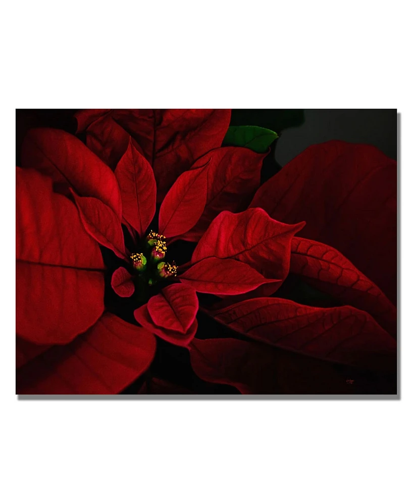 Lois Bryan 'Poinsettia' Canvas Art - 32" x 22"