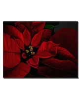 Lois Bryan 'Poinsettia' Canvas Art - 32" x 22"