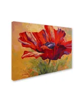 Marion Rose 'Red Poppy Ii' Canvas Art - 35" x 47"