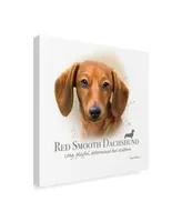 Howard Robinson 'Red Smooth Dachshund' Canvas Art - 18" x 18"