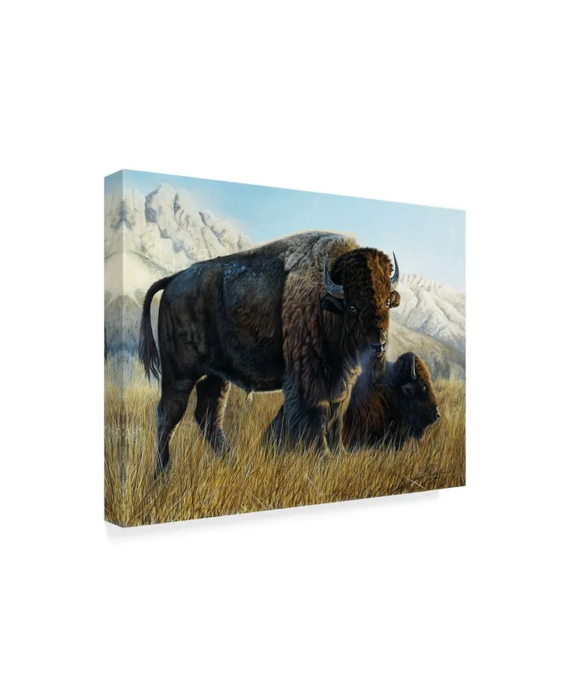 Rusty Frentner 'Resting Buffalo' Canvas Art - 35" x 47"