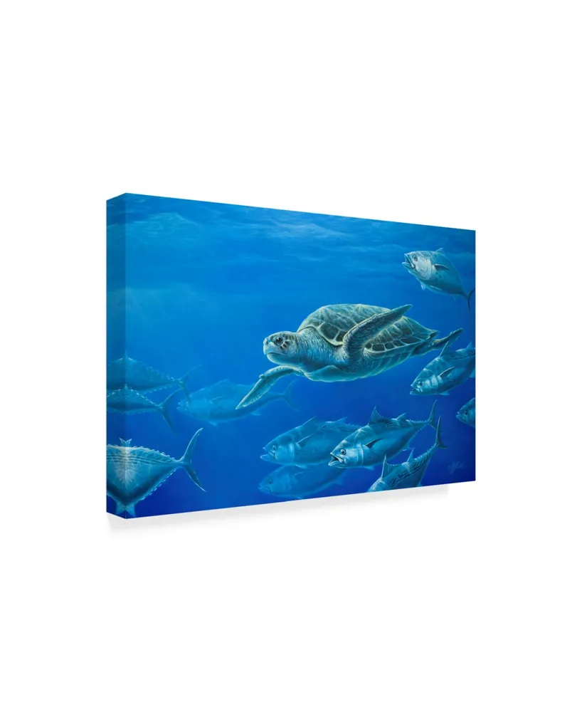 Wilhelm Goebel 'Sea Turtle' Canvas Art - 12" x 19"