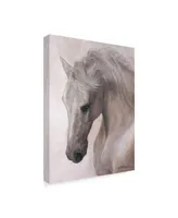 Lee Mitchelson 'Free Spirit White Horse' Canvas Art - 35" x 47"