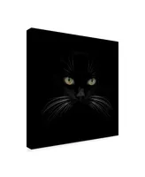 Lori Hutchison 'Black Cat Centered' Canvas Art