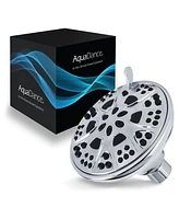 AquaDance High Pressure 6-Setting Shower Head