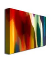 Amy Vangsgard 'Color Fury Iii' Canvas Art - 47" x 30"