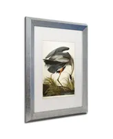 John James Audubon 'Great Blue Heron' Matted Framed Art - 16" x 20"