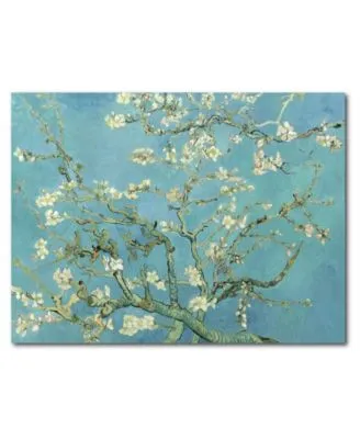 Courtside Market Van Gogh Cherry Blossoms Gallery Wrapped Canvas Wall Art Collection