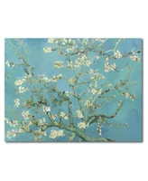 Courtside Market Van Gogh Cherry Blossoms Gallery Wrapped Canvas Wall Art Collection