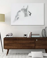 Empire Art Direct 'Blanco Mare Horse' Frameless Free Floating Tempered Glass Panel Graphic Wall Art - 48" x 32''