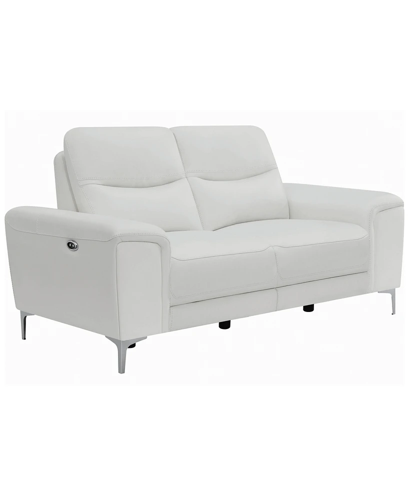 Coaster Home Furnishings Largo Upholstered Power Loveseat