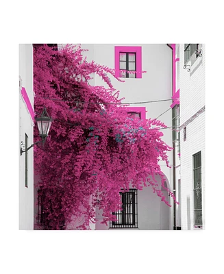 Philippe Hugonnard Made in Spain 3 Pink Tree in Seville Canvas Art - 15.5" x 21"