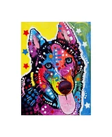 Dean Russo Husky 122209 Canvas Art - 19.5" x 26"