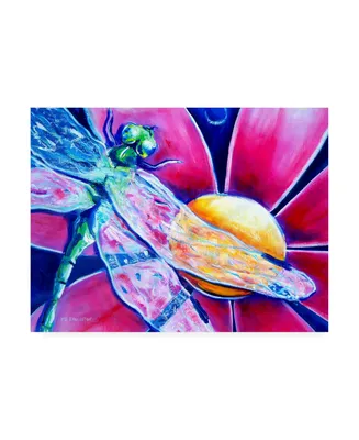 Deborah Broughton Flower Pink Daisy Dragonfly Canvas Art