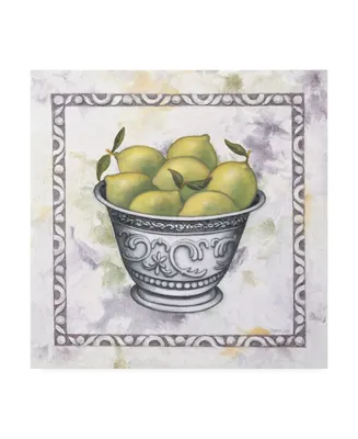 Debra Lake Limes in a Silver Bowl Canvas Art