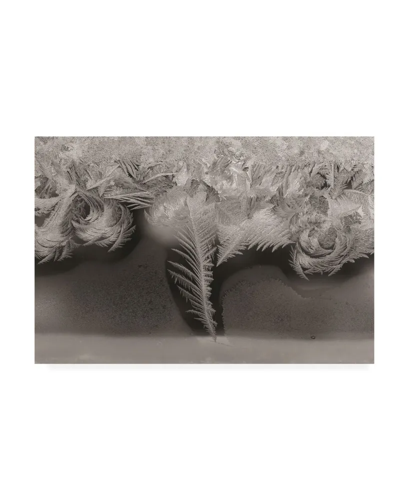 Kurt Shaffer Photographs Natures art, ice crystals on my window Canvas Art